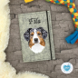 Preview: Designbeispiel der Impfpasshülle hellgrau meliert für den Australian Shepherd blue merle